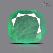 Zambian Emerald (Panna) - 8.73