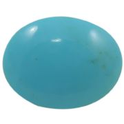Firoza (Turquoise) Gemstones Cts. 14.08 Ratti 15.48