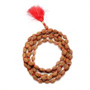 4 Mukhi Rudraksha Mala (Indonesia) (108+1 Beads) GJSPC Certified