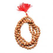 5 Mukhi Rudraksha Mala (Indonesia) (108+1 Beads) GJSPC Certified