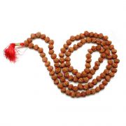 9 Mukhi Rudraksha Mala (Indonesia) (108+1 Beads) GJSPC Certified