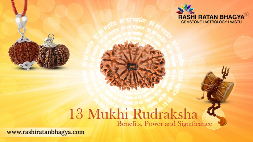 13 Mukhi Rudraksha Benefits, Power and Significance