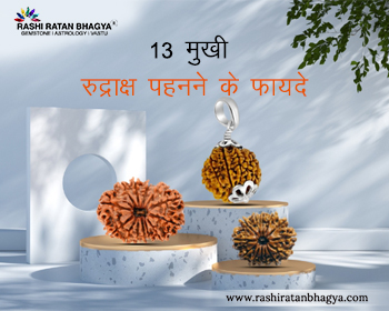 13 मुखी रुद्राक्ष पहनने के फायदे (Terah Mukhi Rudraksha Benefits in Hindi)