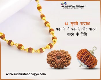 14 मुखी रुद्राक्ष पहनने के फायदे | 14 Mukhi Rudraksha Benefits in Hindi