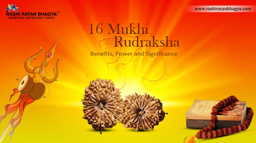 16 Mukhi Rudraksha Benefits and Significance