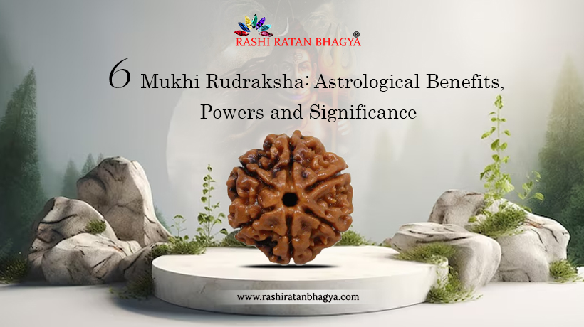 6 Mukhi Rudraksha Benefits, Powers, and Significance
