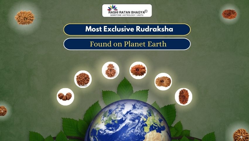 6 Most Expensive Rudraksha in the World: Rare Rudraksha