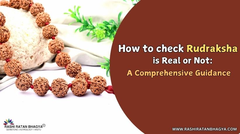 How to check Rudraksha is Real or Not: A Comprehensive Guidance