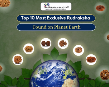 Most Exclusive Rudraksha Found on Planet Earth