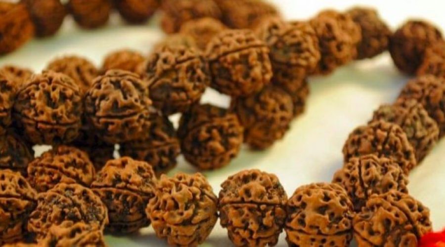 Different Types of Rudraksha and Their Benefits