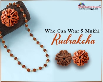 Who Can Wear 5 Mukhi Rudraksha?