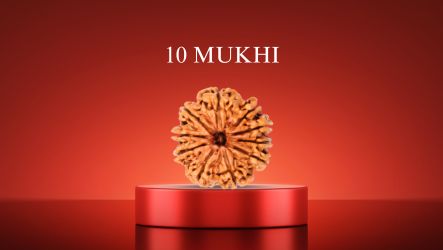 10 Mukhi Rudraksha