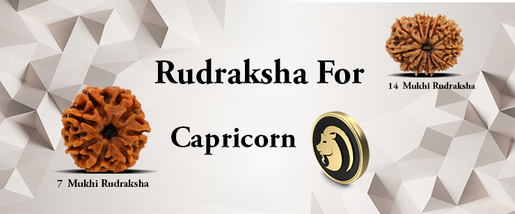 Rudraksha For Capricorn Zodiac People