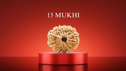 15 Mukhi Rudraksha