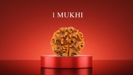 1 Mukhi Rudraksha