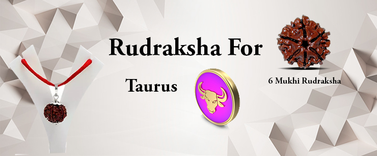 Rudraksha For Taurus Zodiac People