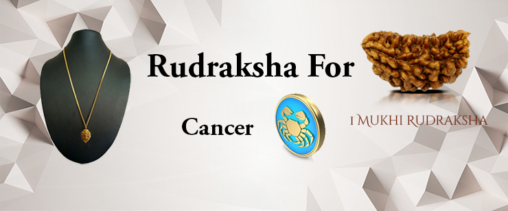 Rudraksha For Cancer Zodiac People