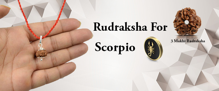 Rudraksha For Scorpio Zodiac People