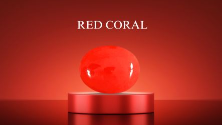 Red Coral Stone