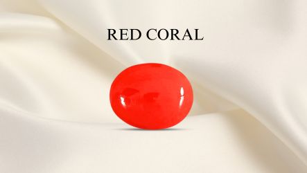 Red Coral