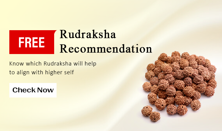 Rudraksha Recommandation
